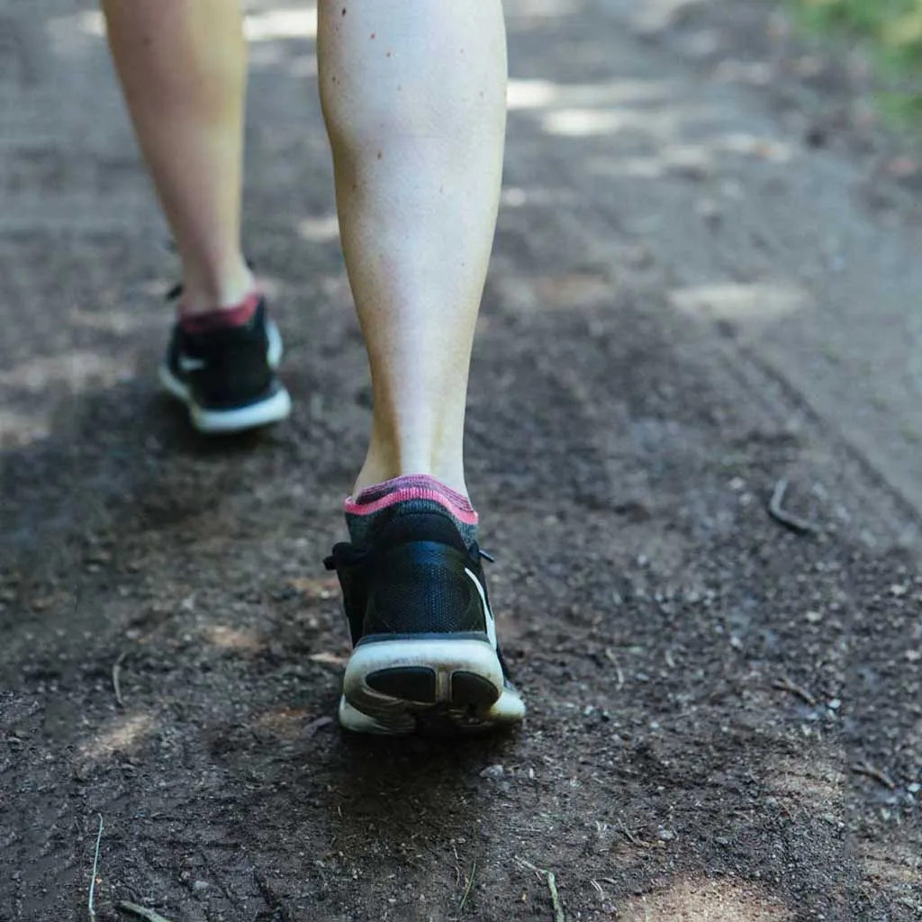 No-Show Running Sock - Light Cushion