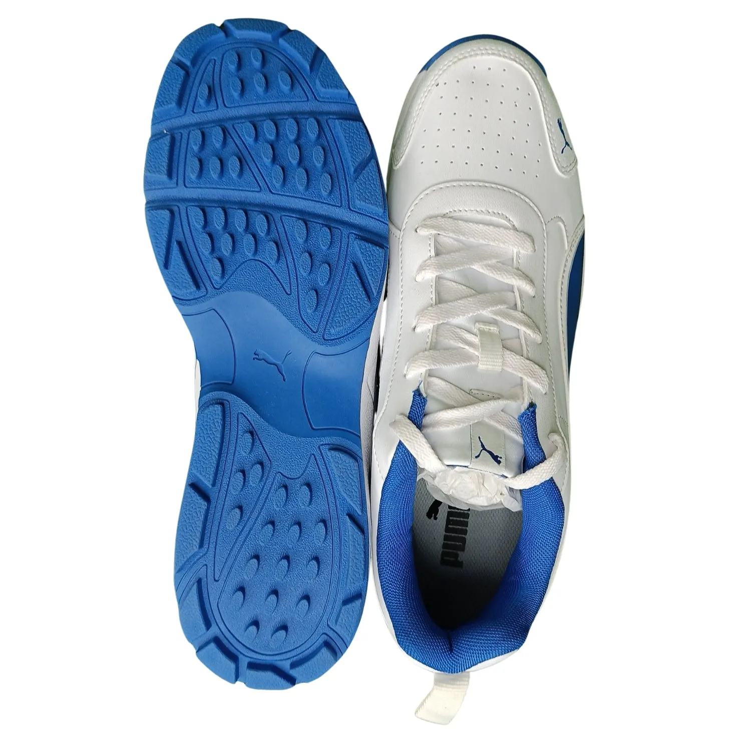 Puma Cricket Shoes, Classic Cat -  White/Blue